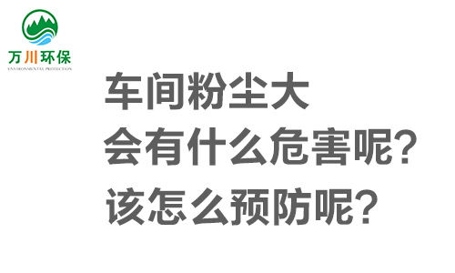 車間粉塵大會有什么危害呢？該怎么預(yù)防呢？